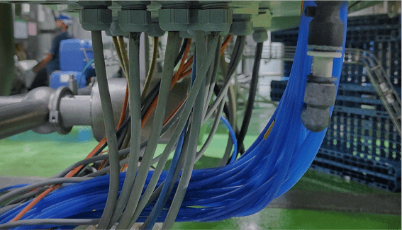 image of network cables